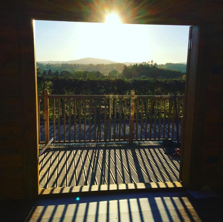 Sunset Cabin Молд Экстерьер фото